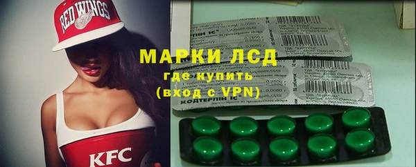 гашик Нея