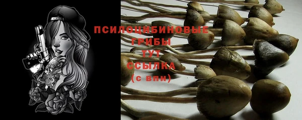 амф Нефтекумск