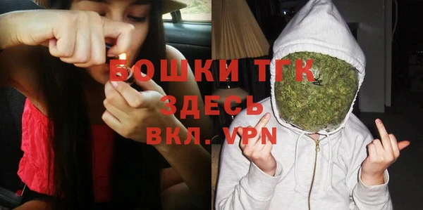 гашик Нея