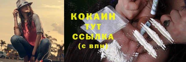 гашик Нея