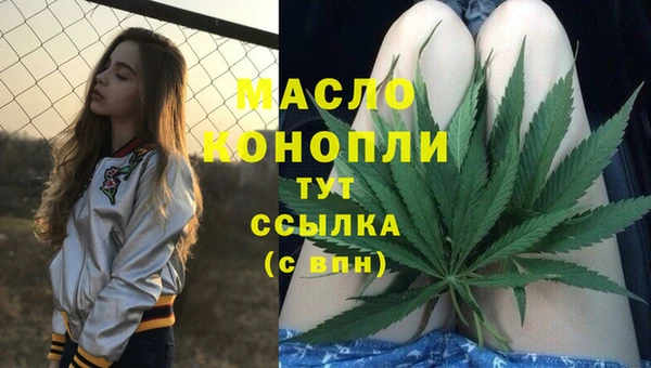 гашик Нея