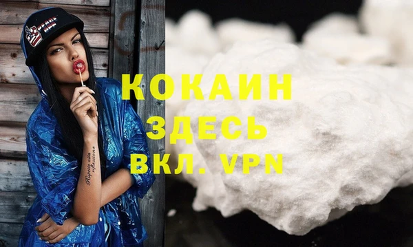 гашик Нея