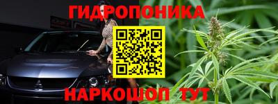 гидра Кандалакша