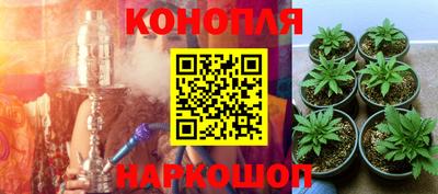 mdma Камышлов