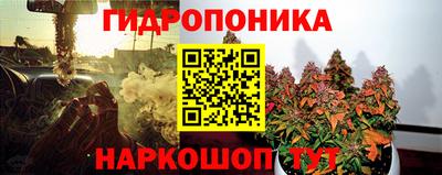гидра Кандалакша