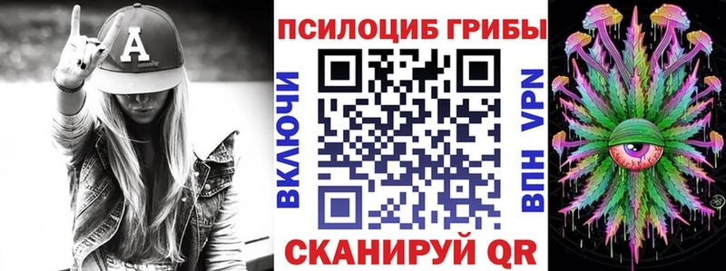 ОМГ ОМГ   Сызрань  Псилоцибиновые грибы Psilocybe 