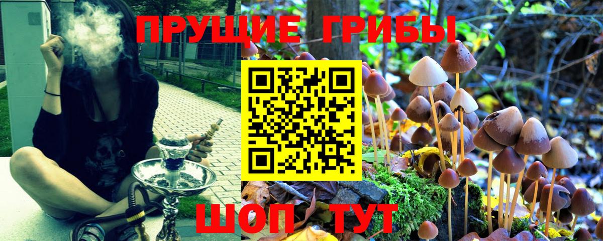 Галлюциногенные грибы мухоморы Сызрань