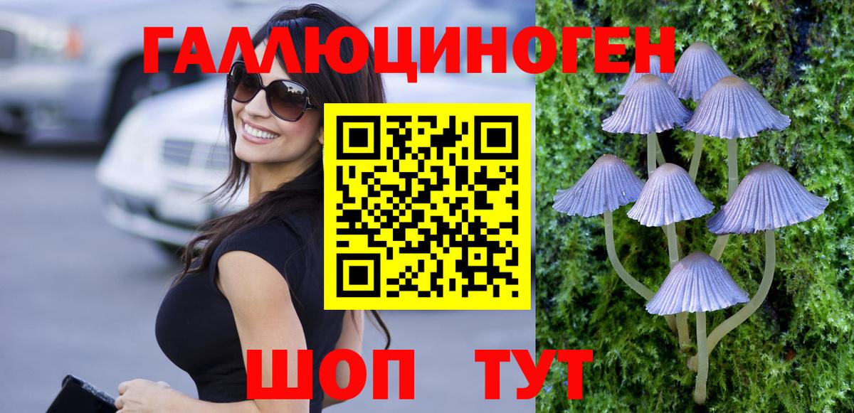 Псилоцибиновые грибы Cubensis Сызрань