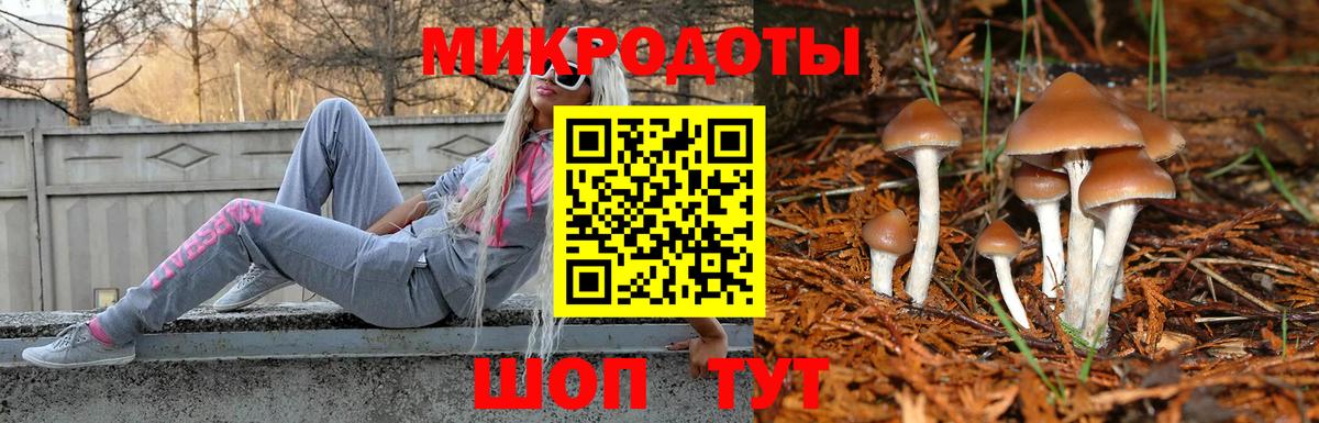 где купить наркоту  Псилоцибиновые грибы Cubensis  Вход с VPN  Сызрань 